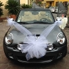 Mini cooper s cabrio 2009
