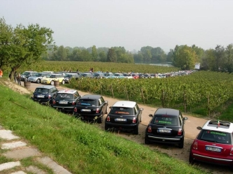 chicca_001.jpg