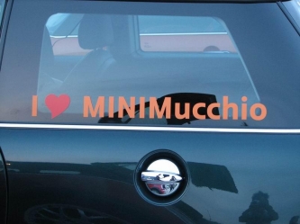 mukkioconero_021.JPG