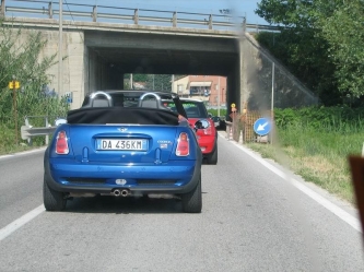 mukkioconero_289.JPG