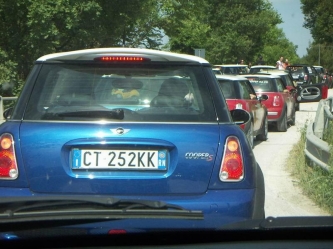 mukkioconero_282.JPG
