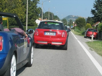 mukkioconero_290.JPG