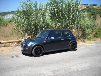 ecco i konig