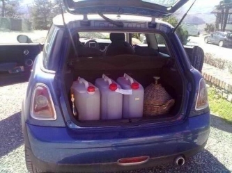 Mini & Vino
