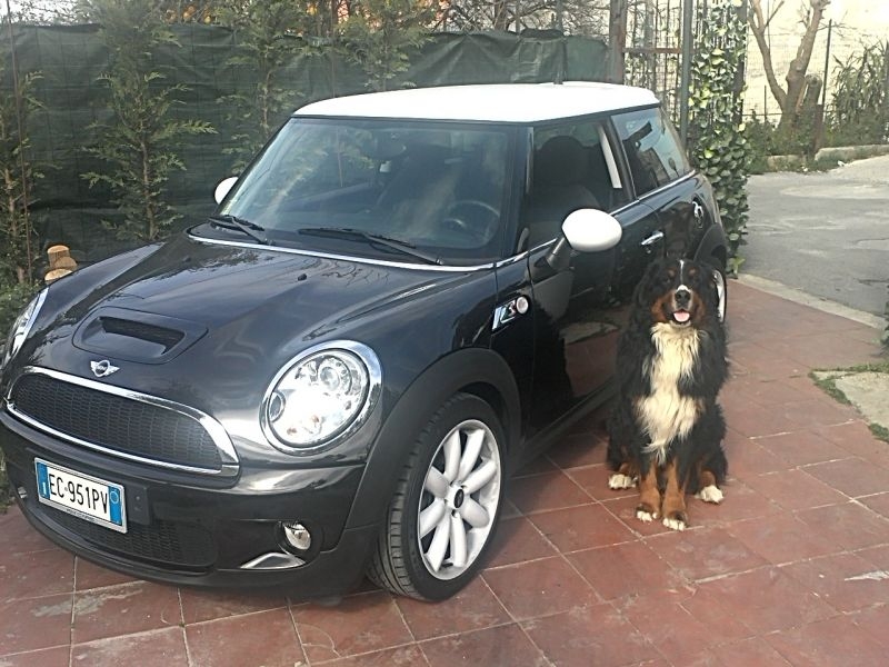 la mia mini
