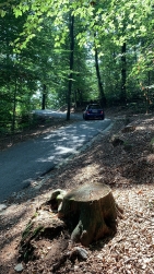 Raduno_2021-0088.jpg