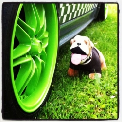 LimeGreeen