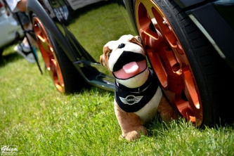 Mascotte MINI