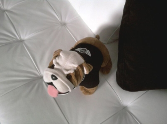 Attenti al cane
