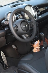 R56 Cooper S LCI - interni