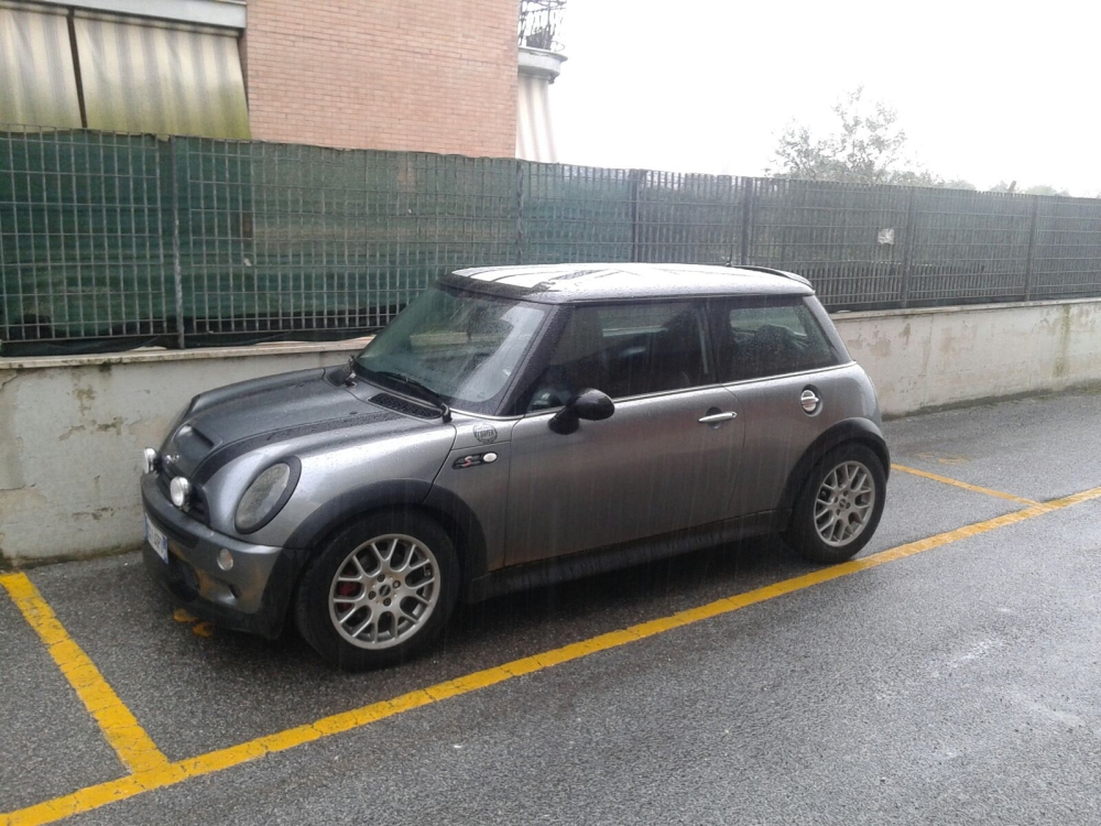 mini (2).jpg