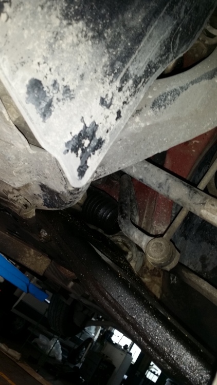 20151104_123611.jpg