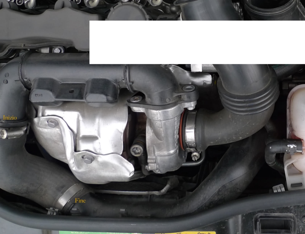295xst1.jpg