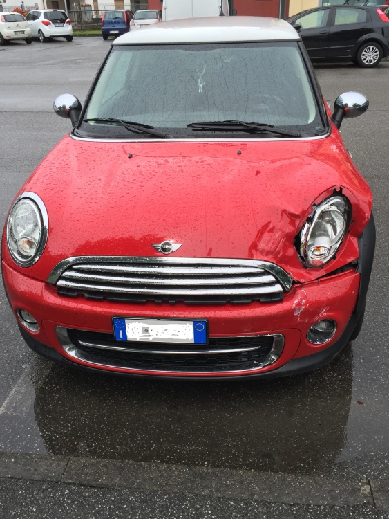 mini 2.jpg