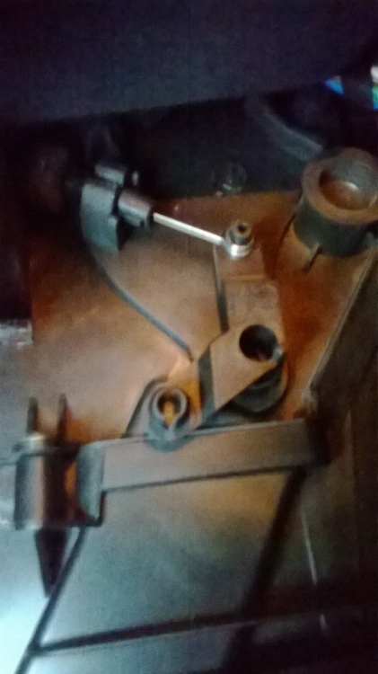 WP_20160601_001.jpg