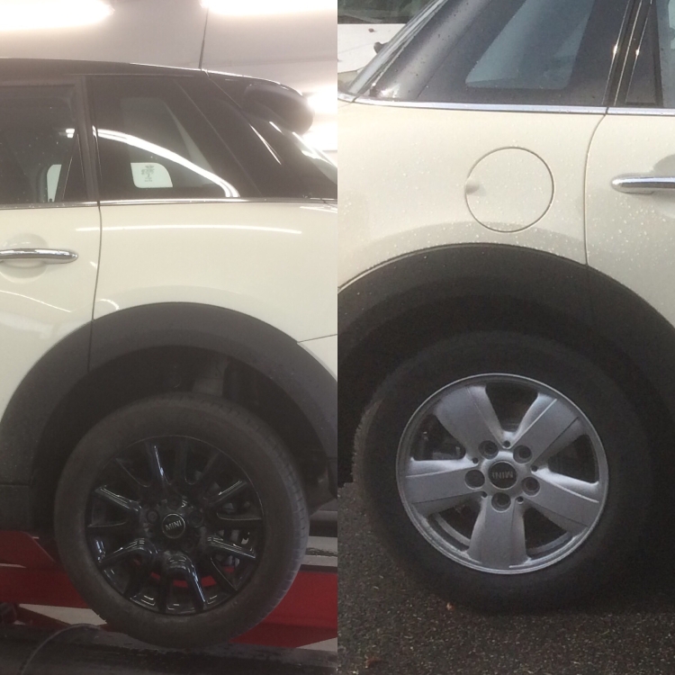 IMG_9503.JPG