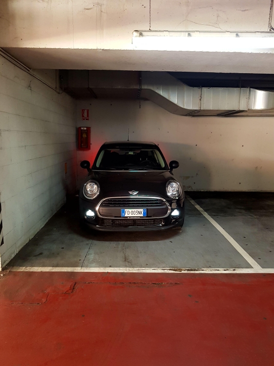 20170528_121059.jpg