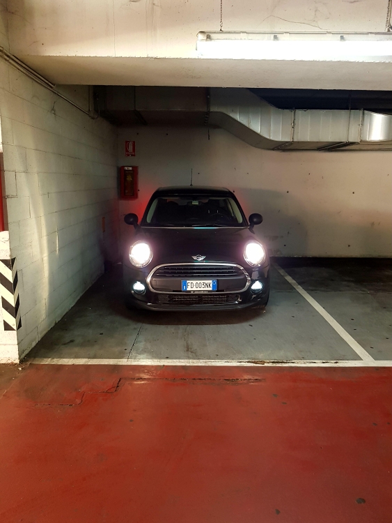 20170528_121123.jpg