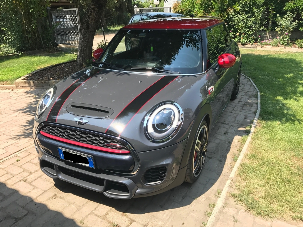 mini 1.jpg