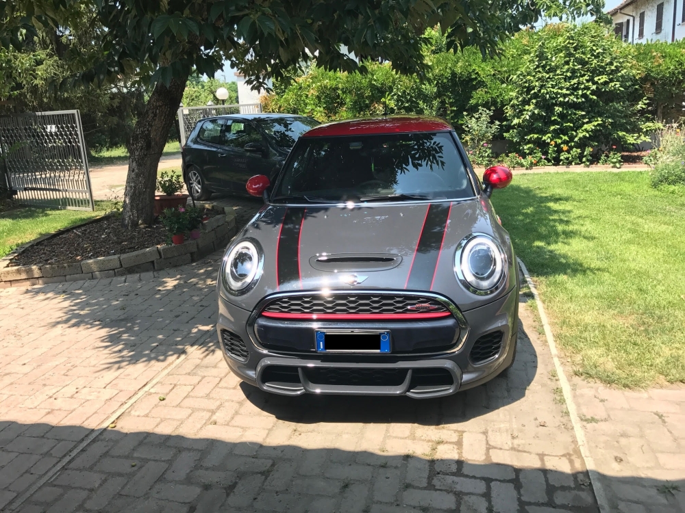 mini 2.jpg