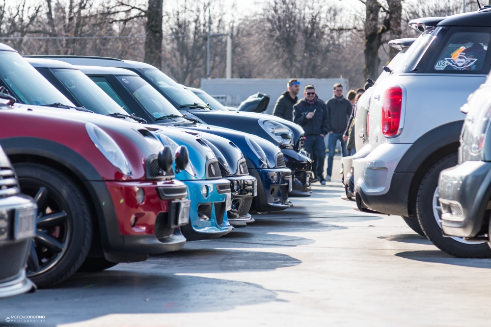 _MG_8034.jpg