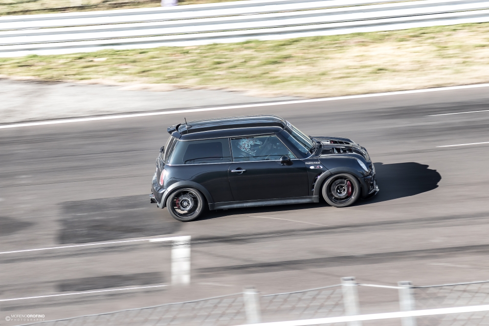 _MG_8316.jpg
