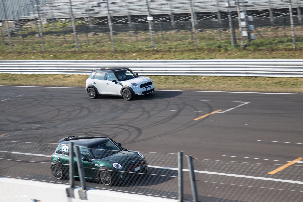 _MG_8464.jpg