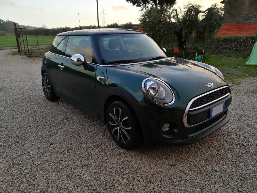 my_mini.jpg