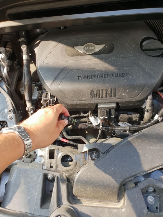 20180803_094839.jpg