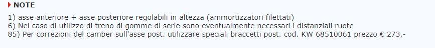braccetti posteriore camber.JPG