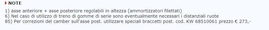 1363656851_braccettiposteriorecamber.JPG.be1a3ca31cab6fbb795c3f15f597be8b.JPG
