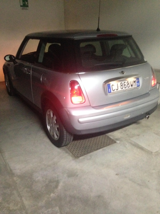 Mini 10.JPG