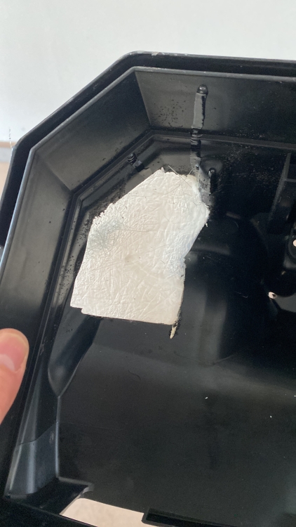C263ED5E-D9EC-453A-A668-BB936D59CFDD.jpeg