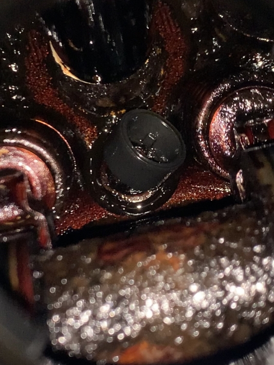 26C71398-601F-4716-BD3B-E1EC5B68A3E6.jpeg