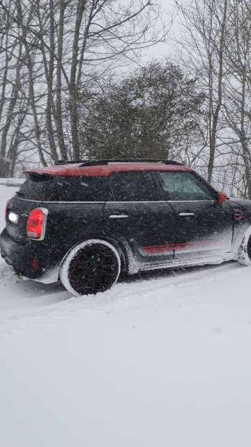 22-01-2023Neve2.jpg