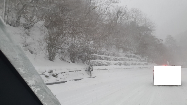22-01-2023Neve4.jpg
