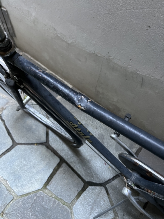 IMG_5084.jpeg