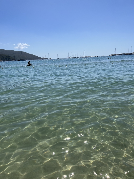 IMG_5162.jpeg