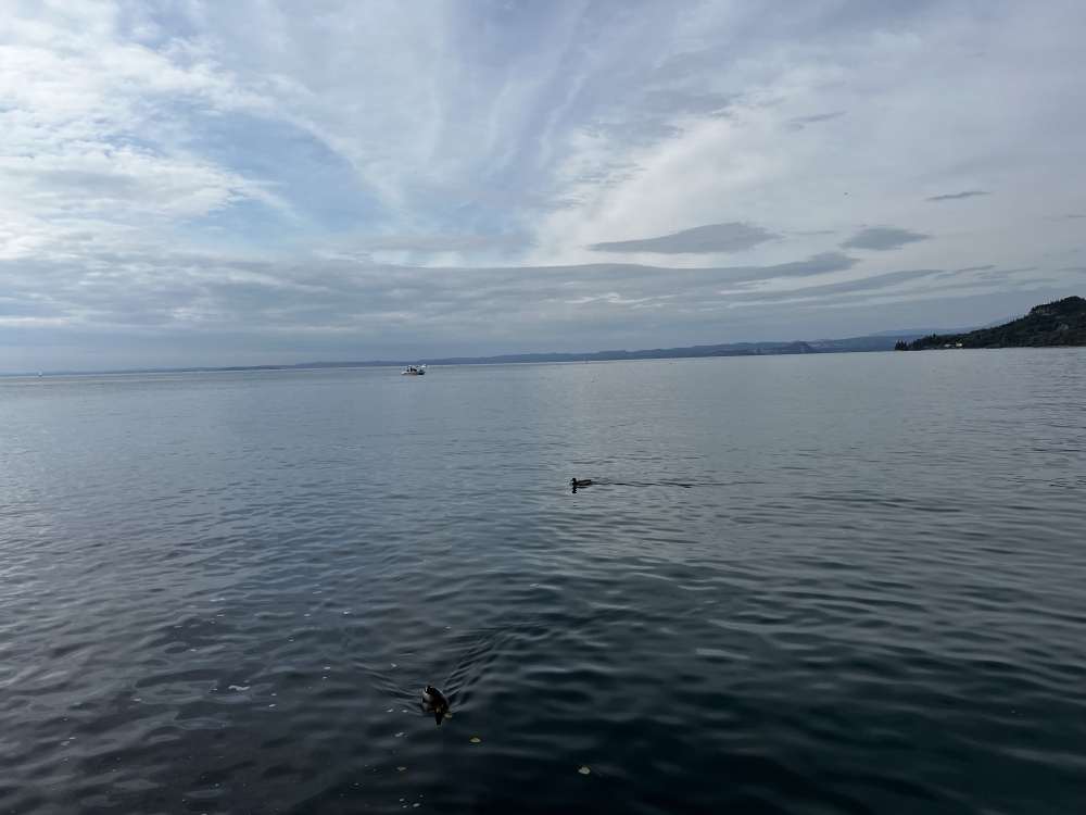 IMG_9310.jpeg